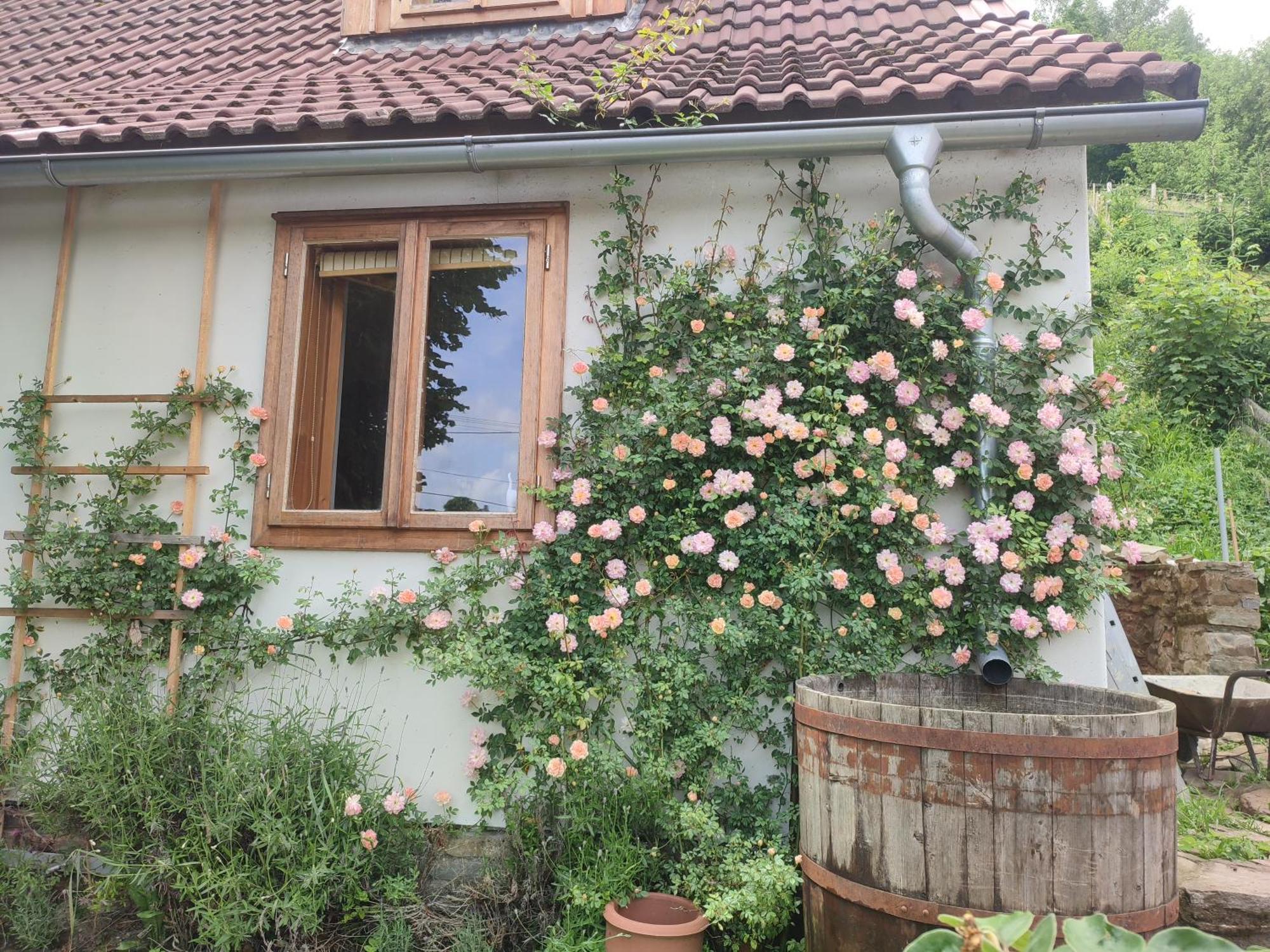 Stodola Svaty Stepan Apartment Bylnice Екстериор снимка